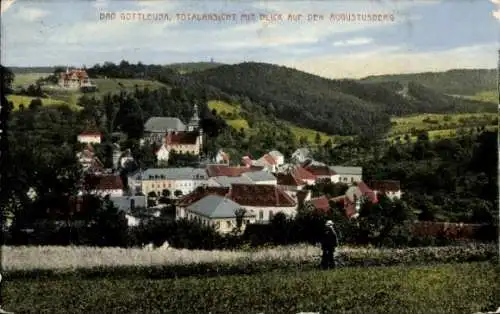 Ak Bad Gottleuba in Sachsen, Gesamtansicht von  Blick auf den Augustusberg