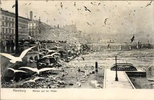 Ak Hamburg Mitte Altstadt, Möven, Alster, Stadtansicht, Menschen, Hafen