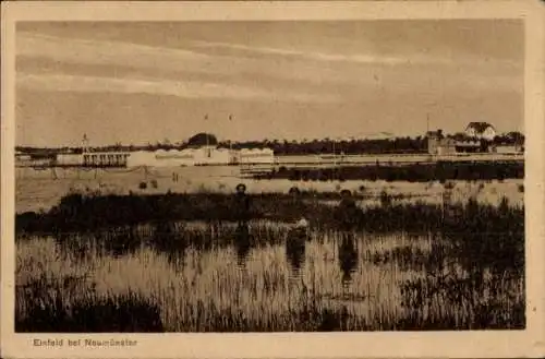 Ak Einfeld Neumünster in Holstein, Einfeld bei  Landschaftsbild, Wasser, Pflanzen, ruhige Szeneri