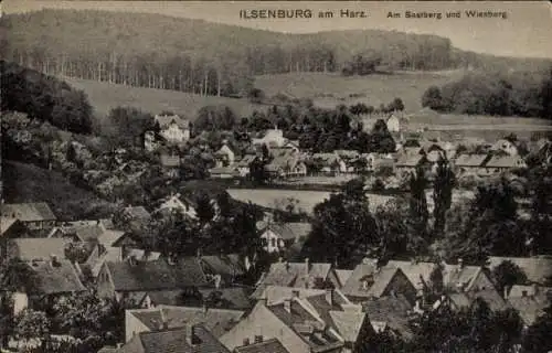 Ak Ilsenburg am Nordharz, Saalberg und Wienberg