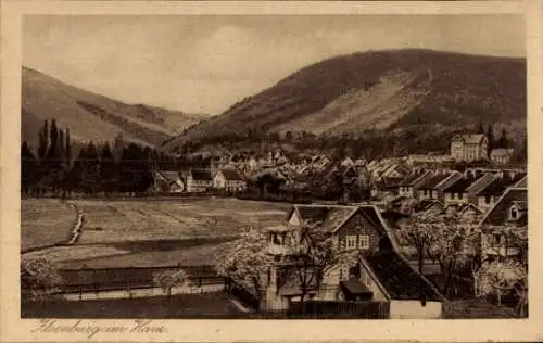 Ak Ilsenburg im Harz, Teilansicht