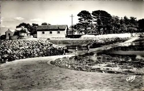 Ak Larmor Morbihan, Baden, Passage de l'Ile Berder a Larmor a Maree Basse