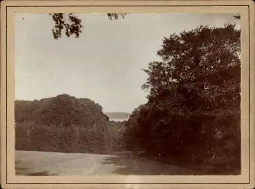 Foto Büstorf Rieseby in Schleswig Holstein, Büstorfer Lustholz