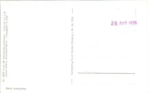 Ak Radolfzell am Bodensee, Fliegeraufnahme