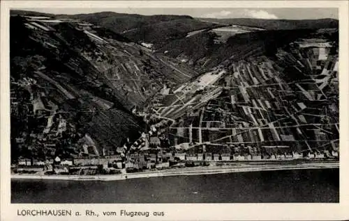 Ak Lorchhausen Lorch am Rhein Hessen, Fliegeraufnahme