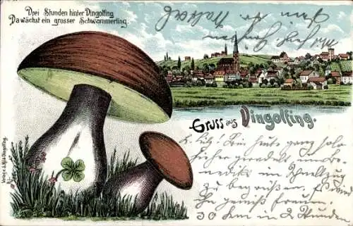Litho Dingolfing in Niederbayern, Drei Stunden hinter Dingolfing da wächst ein großer Schwämmerling