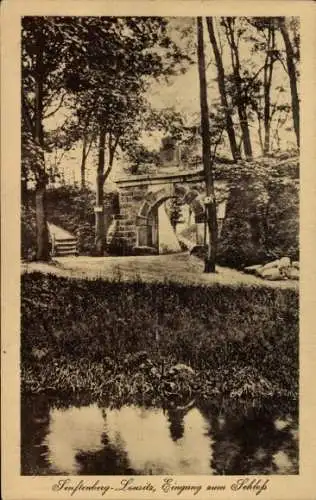 Ak Senftenberg in der Niederlausitz, Schöne Natur, Eingang zum Schloss, Wasser, Bäume, Architektu