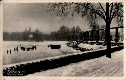 Ak Magdeburg an der Elbe, Magdeburg am Adolf Mittaysee, verschneite Parkanlage mit See und Bäumen