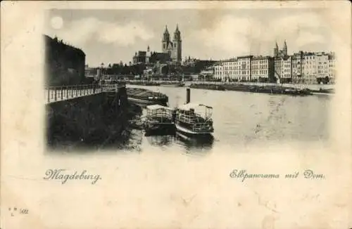 Ak Magdeburg an der Elbe,  Elpanorama mit Dom, Dampfschiff auf der Elbe