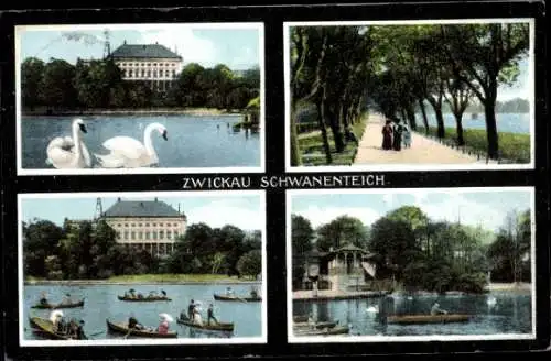 Ak Zwickau in Sachsen, Schwanenteich