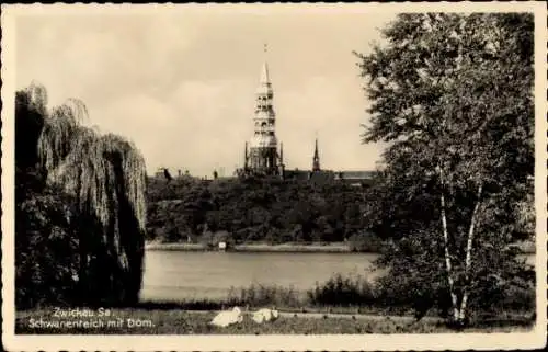 Ak Zwickau in Sachsen, Schwanenteich, Dom