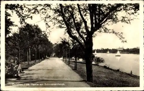 Ak Zwickau in Sachsen, Am Schwanenteich