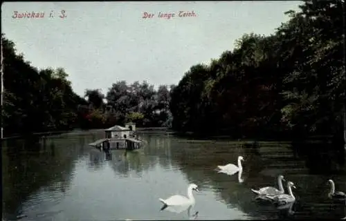 Ak Zwickau in Sachsen, Partie am Teich, Schwäne