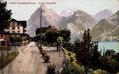 Ak Vierwaldstättersee Kanton Uri, Hotel Tellsplatte