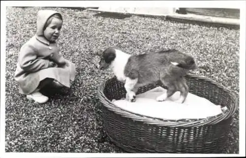 Ak Prinzessin Marijke der Niederlande mit ihrem Hund, Soestdijk November 1950