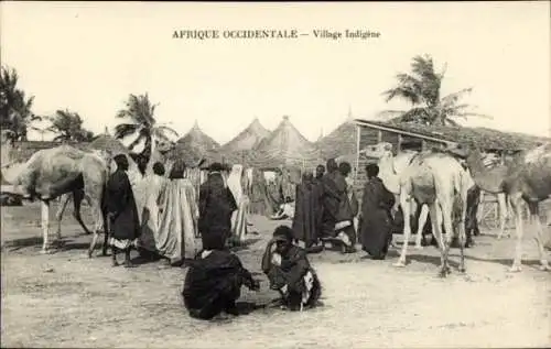 Ak Afrique Occidentale, Village Indigene, Kamele, Dorf, Einwohner