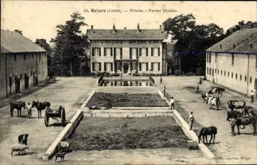 Ak Briare Loiret, Historisches Gebäude, Landwirtschaftsszenen, Tiere, Pferde, Hofanlage