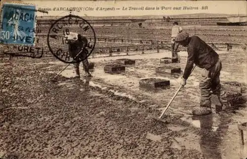 Ak Arcachon Gironde, Bassin d' Arbeit im Austernpark