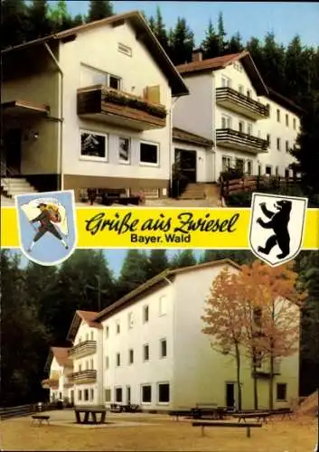 Ak Zwiesel im Bayerischen Wald, Zwei Gebäude, Wald, Bayern, Grüße aus  Bär, Landschaft