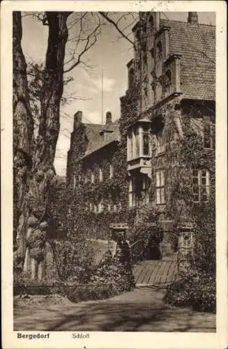 Ak Hamburg Bergedorf, Schloss,  Architektur, umrankte Fassade