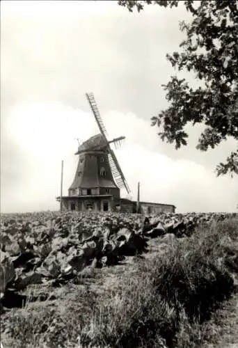 Ak Klütz in Mecklenburg, Windmühle, ländliche Umgebung, schwarz-weiß Foto