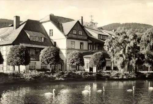Ak Ilsenburg im Harz, Haus am Wasser, Bäume, Schwäne,  Architektur