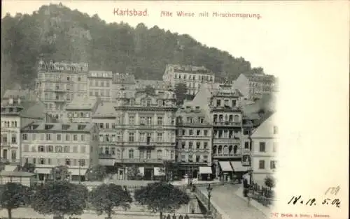 Ak Karlovy Vary Karlsbad Stadt, Alte Wiese mit Hirschensprung