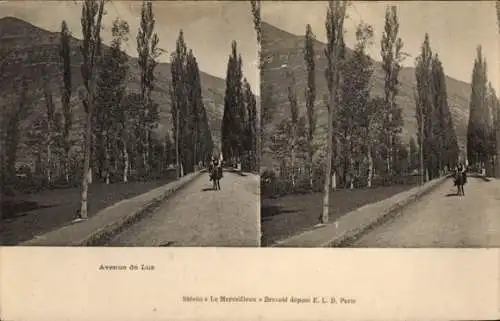 Stereo Ak Avenue de Luz, Allee