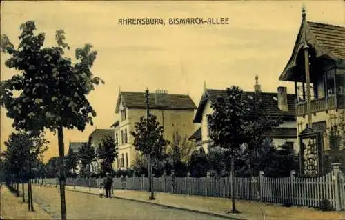Ak Ahrensburg in Holstein, Bismarck-Allee, Straßenansicht, Bäume, Einfamilienhäuser