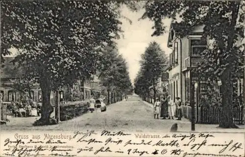 Ak Ahrensburg in Holstein, Waldstraße