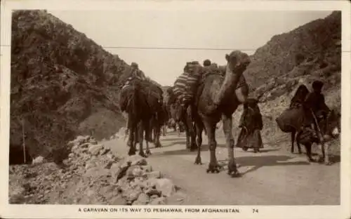 Ak Pakistan, Karawane auf dem Weg von Afghanistan nach Peshawar, Kamele