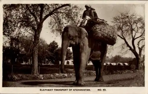 Ak India Pakistan, Elefantentransport von Afghanistan