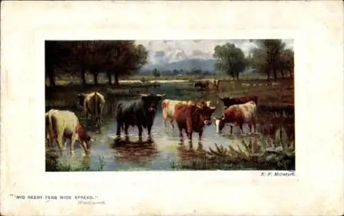 Künstler Passepartout Ak McIntyre, Mid reedy fens wide spread, Wordsworth, Rinder an Wasserstelle
