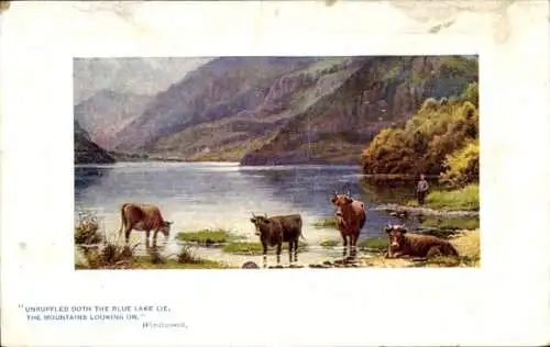 Künstler Ak North Wales, Rinder am Ufer vom Blauen See, Wordsworth