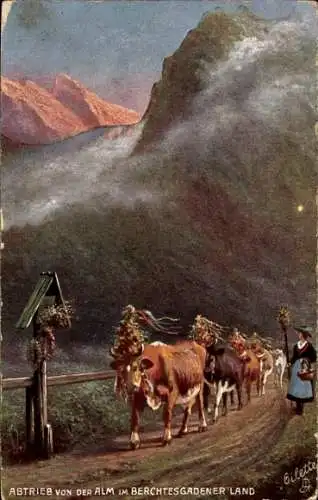 Künstler Ak Abtrieb von der Alm im Berchtesgadener Land, Rinder