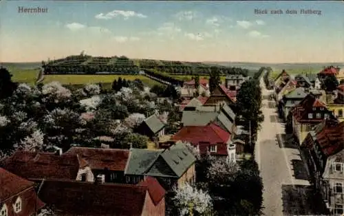 Ak Herrnhut in der Oberlausitz Sachsen, Landschaftsaufnahme, Blick nach dem Hutberg, Häuserreihe,