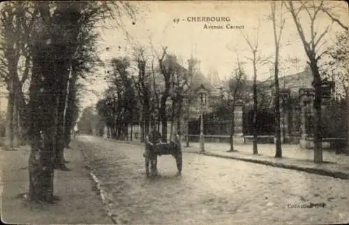 Ak Cherbourg en Cotentin Manche, Avenue Carnot, gebaute Szene, Bäume, Straße, Kutsche