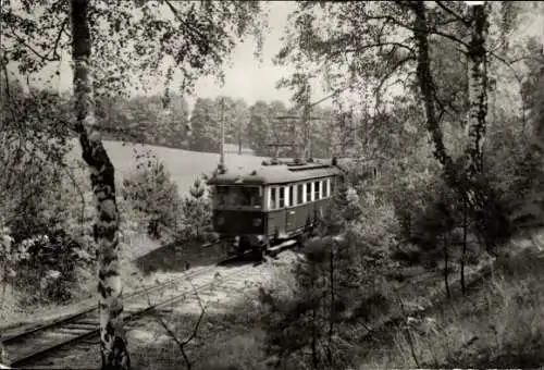 Ak Buckow in der Märkischen Schweiz, Waldbahn