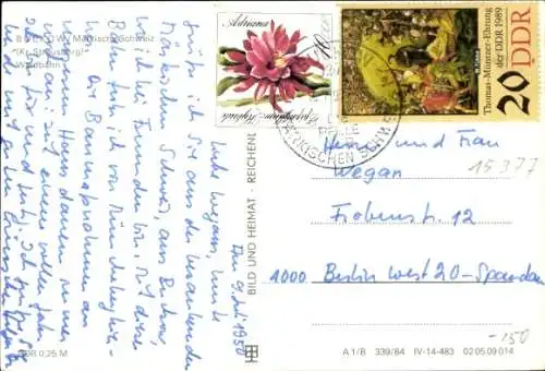 Ak Buckow in der Märkischen Schweiz, Waldbahn