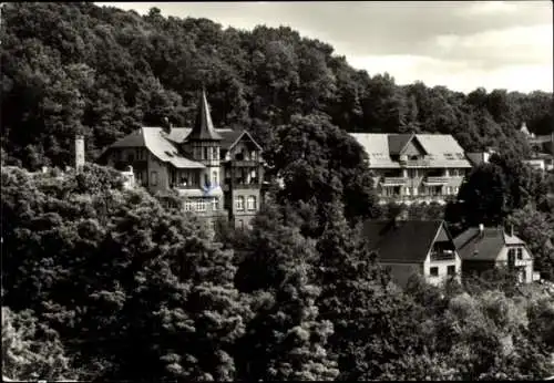 Ak Bad Schandau Sächsische Schweiz, Historisches Gebäude, Baumlandschaft, Spitzdach, Schwarz-Weiß