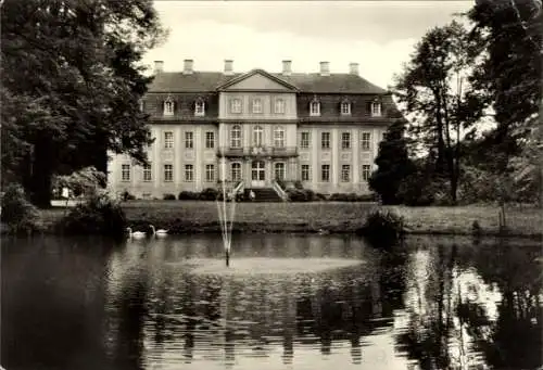 Ak Rammenau Sachsen, Barockschloss  Parkansicht, Schwäne im Teich