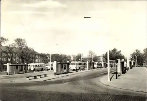 Ak Dessau in Sachsen Anhalt, Omnibus-Bahnhof, Busse, Stadtansicht, Straßenlaternen