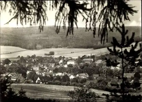 Ak Stadtlengsfeld in der Rhön Thüringen, Schöner Blick auf  Landschaft mit Häusern, Bäume im Vord