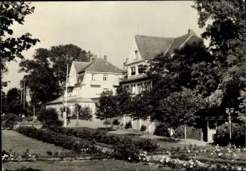 Ak Insel Poel Mecklenburg, Villen, Garten mit Blumen, Bäume, Parkansicht