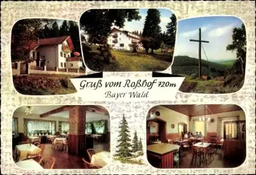 Ak Geigant Waldmünchen Oberfpälzer Wald, Gästehaus Roßhof, Außen- und Innenansichten