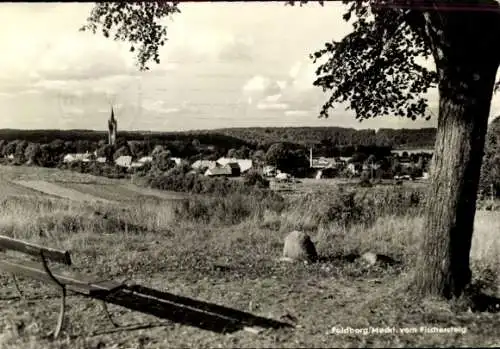 Ak Feldberg in Mecklenburg, Ort vom Fischersteig aus gesehen
