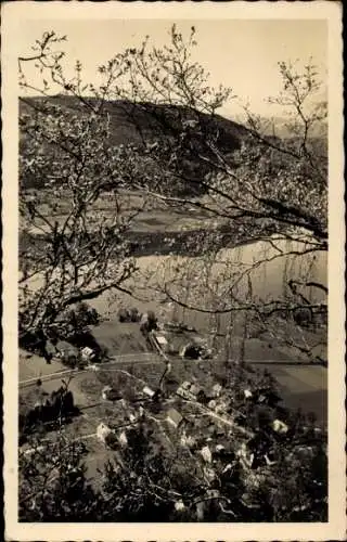 Ak Steindorf am Ossiacher See Kärnten, Schöne Landschaft, Blick auf Steindorf, Baum im Vordergrun