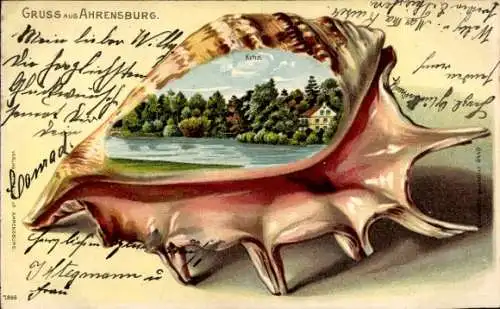 Ak Ahrensburg in Holstein,  mit Muschel, Landschaftsbild, Text