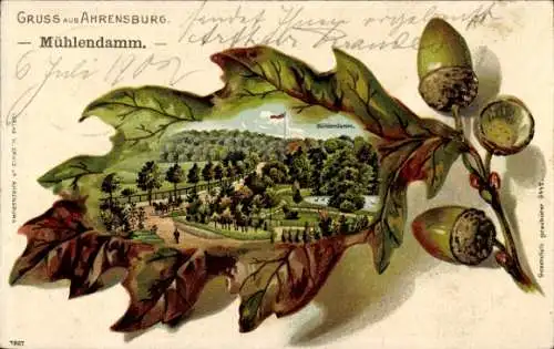 Eichenblatt Litho Ahrensburg in Holstein, Mühlendamm