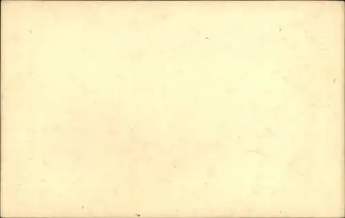 Ak Graf von Paris, Fliegerhaube